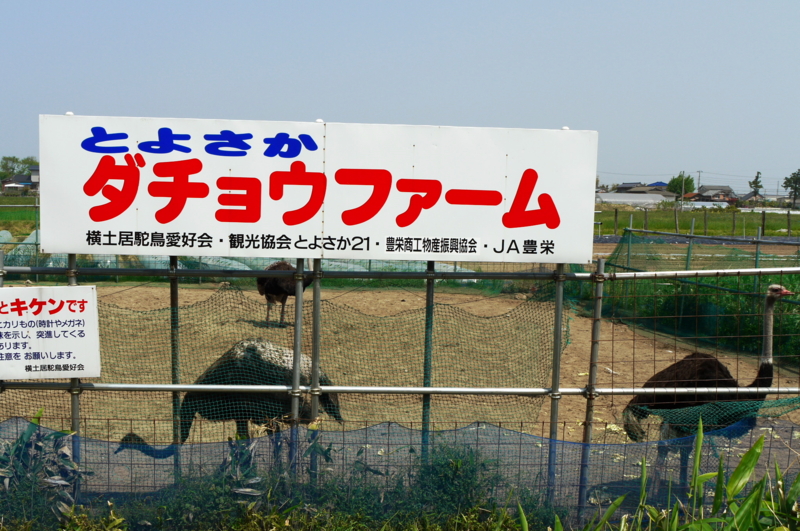 f:id:seiichirou-02:20100521095903j:image:w400 f:id:seiichirou-02:20100521095903j:image:w400