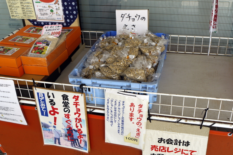 f:id:seiichirou-02:20100521100934j:image:w400 f:id:seiichirou-02:20100521100934j:image:w400