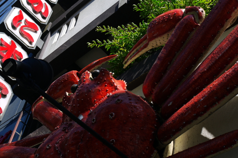 f:id:seiichirou-02:20100718082450j:image:w400 f:id:seiichirou-02:20100718082450j:image:w400