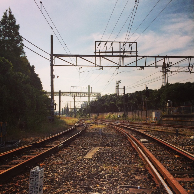 f:id:seikousisan:20141013213832j:plain f:id:seikousisan:20141013213832j:plain