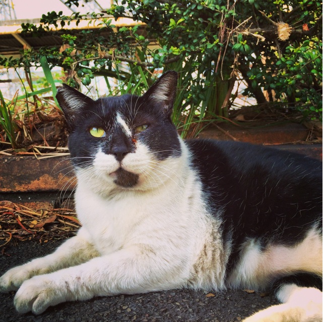 f:id:seikousisan:20141013214248j:plain f:id:seikousisan:20141013214248j:plain