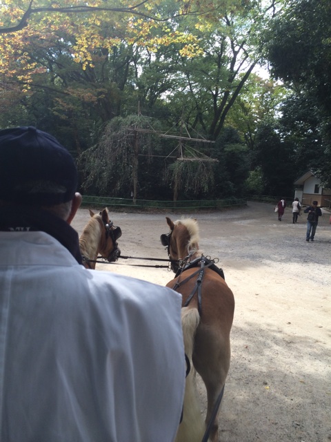 f:id:seikousisan:20141031211829j:plain f:id:seikousisan:20141031211829j:plain