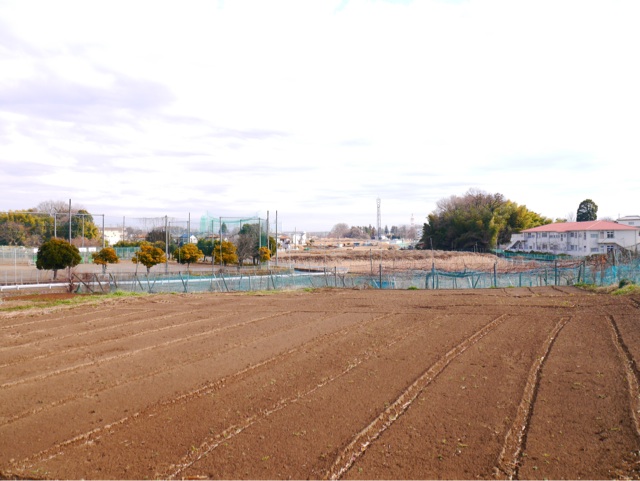 f:id:seikousisan:20150124225433j:plain f:id:seikousisan:20150124225433j:plain
