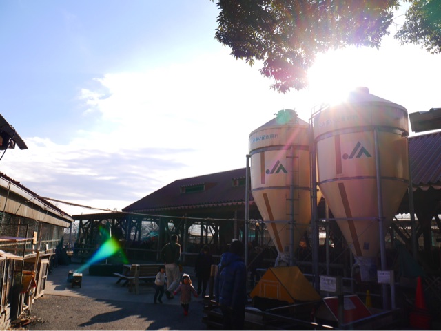 f:id:seikousisan:20150124231059j:plain f:id:seikousisan:20150124231059j:plain