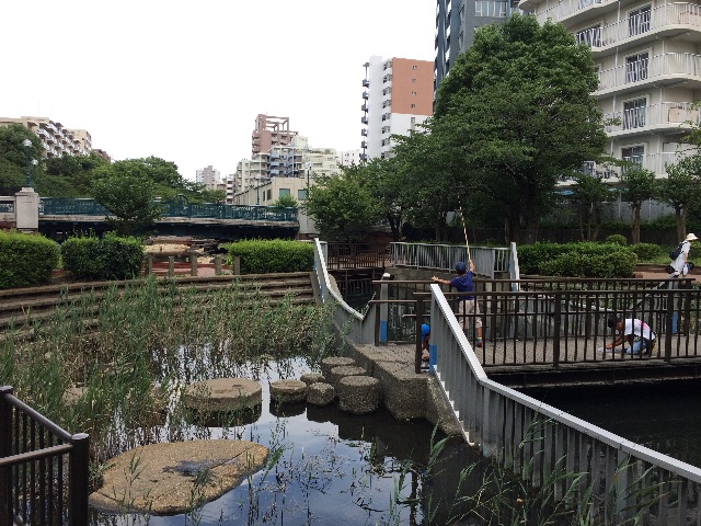 f:id:seikousisan:20150702192441j:image f:id:seikousisan:20150702192441j:image