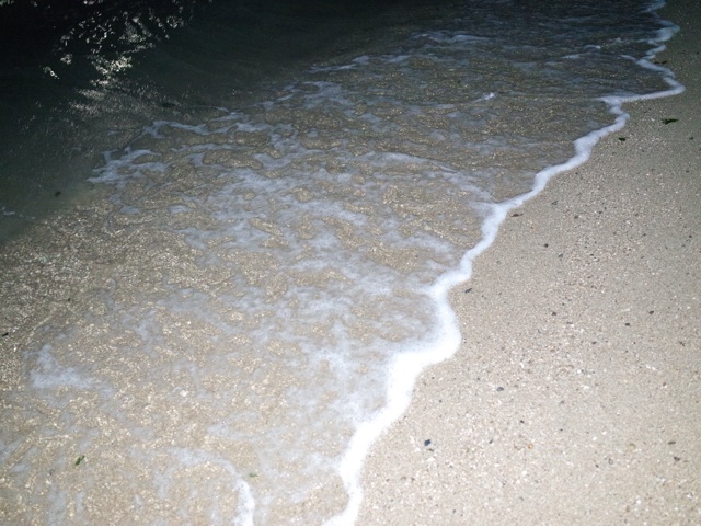 f:id:sekidome_syrup:20140712112639j:plain f:id:sekidome_syrup:20140712112639j:plain
