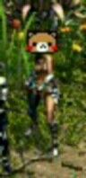 f:id:selkirk:20160707054103j:image f:id:selkirk:20160707054103j:image