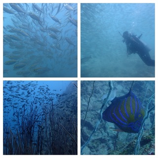 f:id:senaka45:20150618225746j:image f:id:senaka45:20150618225746j:image