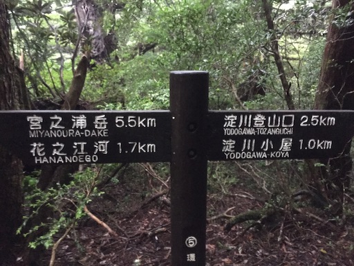 f:id:senaka45:20150824141244j:image f:id:senaka45:20150824141244j:image