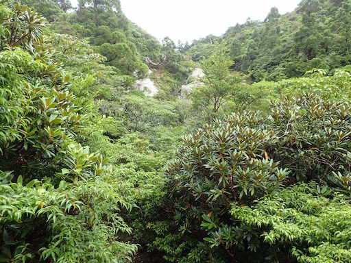 f:id:senaka45:20150824144155j:image f:id:senaka45:20150824144155j:image