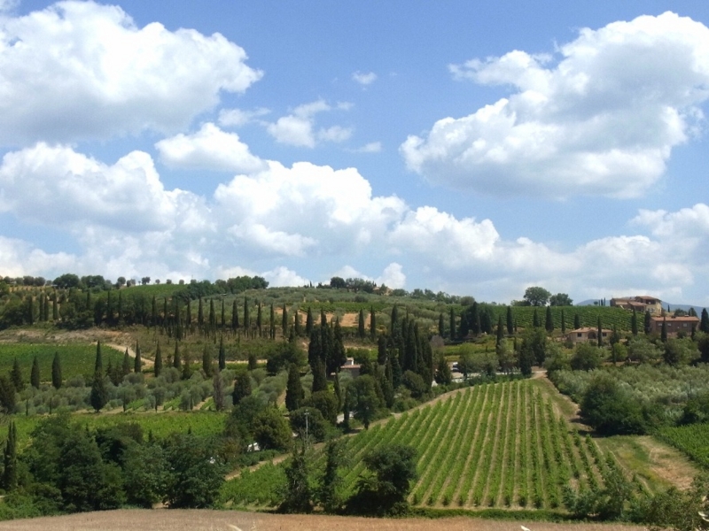 f:id:sentiero:20120627140332j:image f:id:sentiero:20120627140332j:image