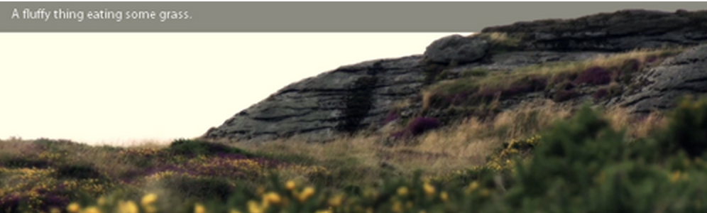 f:id:septeni-original:20150722103634p:plain f:id:septeni-original:20150722103634p:plain