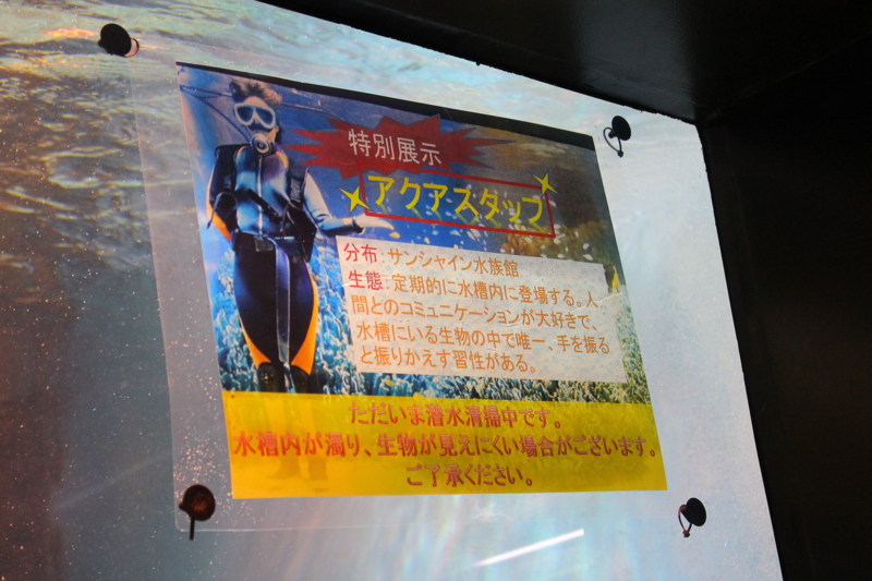 f:id:seraneko96:20150120160619j:plain f:id:seraneko96:20150120160619j:plain