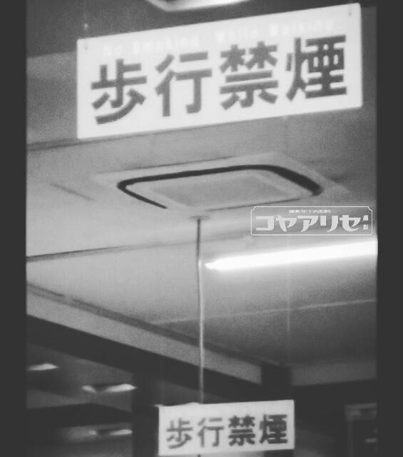 f:id:seriayako:20160603065943j:image f:id:seriayako:20160603065943j:image