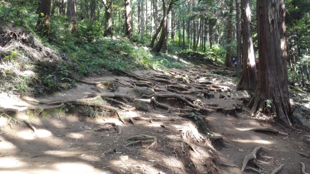 f:id:serinaishii:20150924104734j:plain f:id:serinaishii:20150924104734j:plain