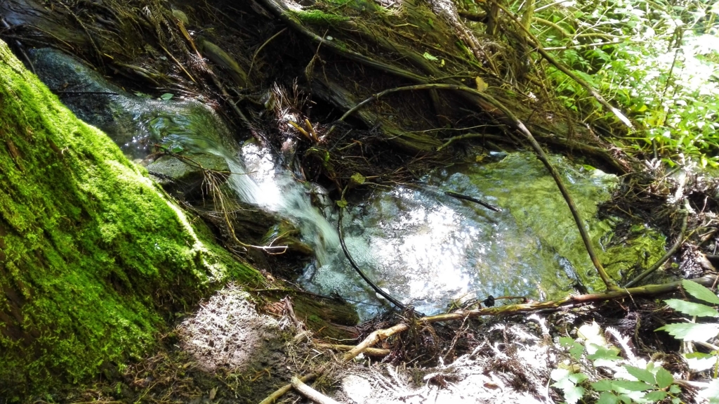 f:id:serinaishii:20150924105637j:plain f:id:serinaishii:20150924105637j:plain