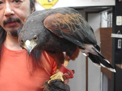 f:id:serviceanddestroy:20110905002656j:image f:id:serviceanddestroy:20110905002656j:image