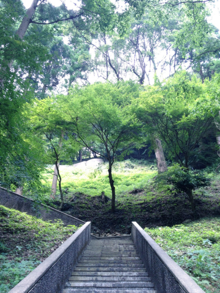 f:id:seta_tooru2:20130829205501j:plain