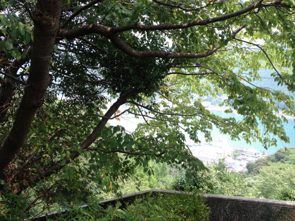 f:id:seta_tooru2:20130829210836j:plain