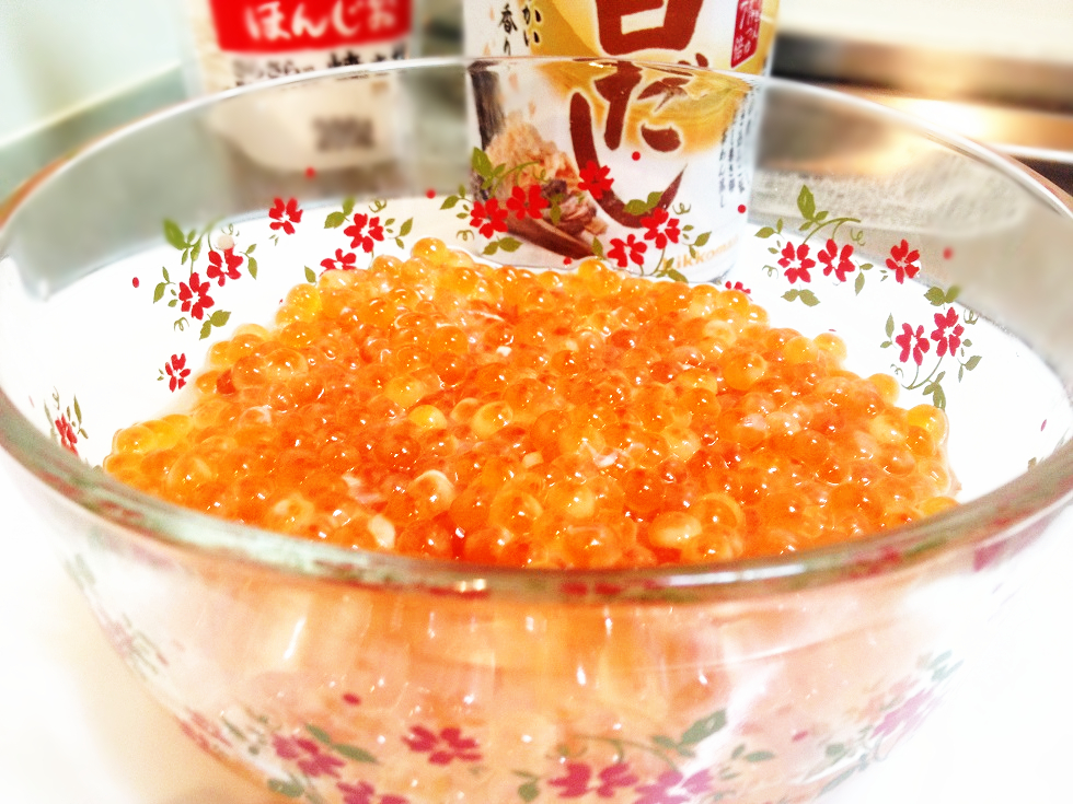 f:id:seta_tooru2:20140911215420j:plain