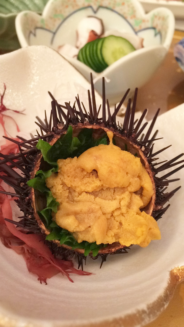 f:id:seta_tooru2:20160113224200j:plain