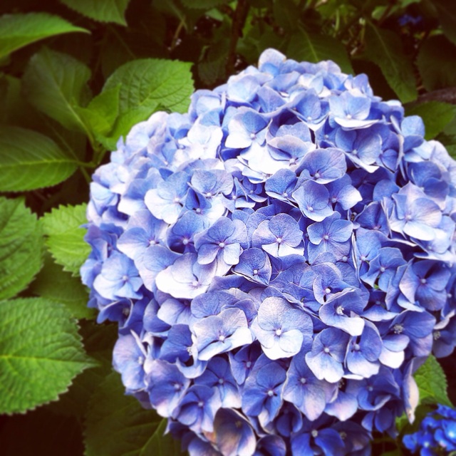 f:id:setosin:20150611080203j:plain f:id:setosin:20150611080203j:plain