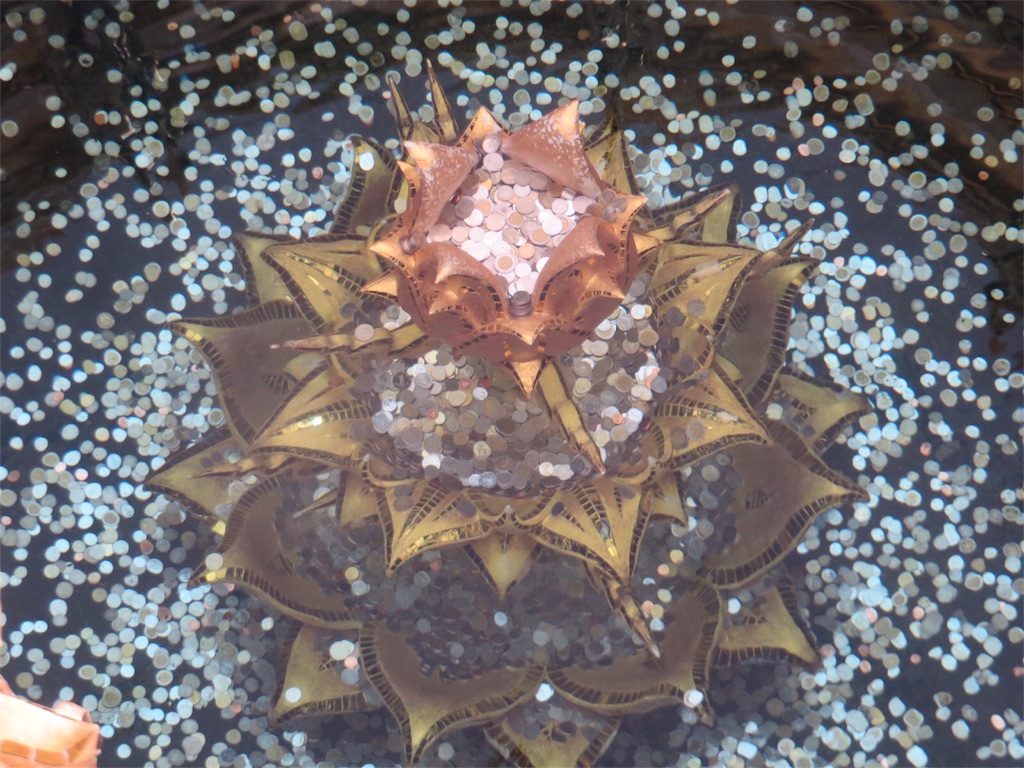 f:id:shallowwell:20160604002603j:image f:id:shallowwell:20160604002603j:image