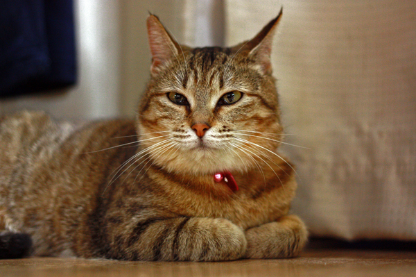 f:id:sharon6q:20120501182300j:image f:id:sharon6q:20120501182300j:image