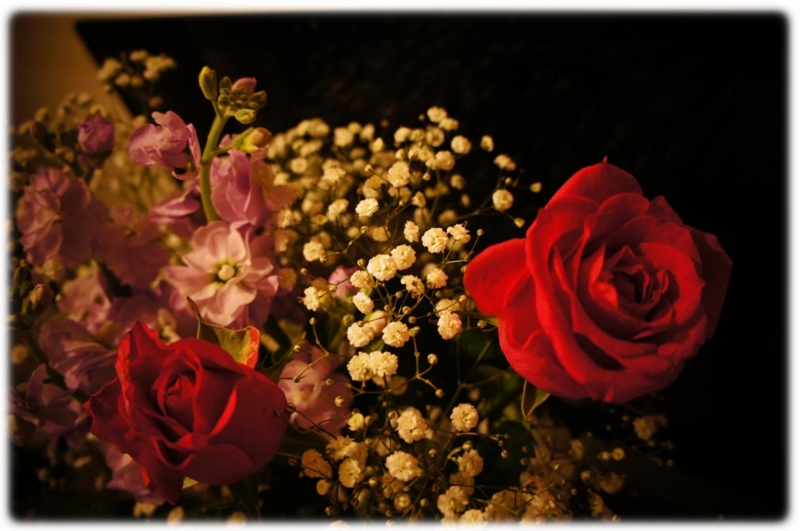 f:id:shebalove:20141115191646j:plain f:id:shebalove:20141115191646j:plain