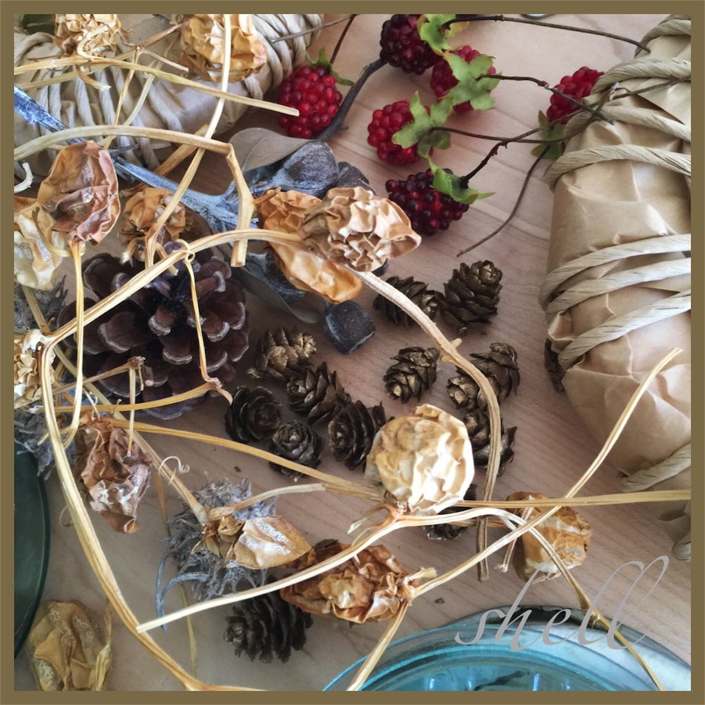 f:id:shellwreath:20151107085808j:image f:id:shellwreath:20151107085808j:image