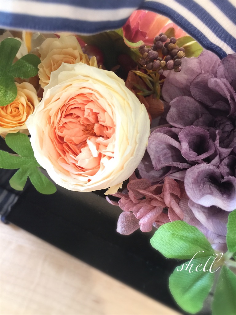 f:id:shellwreath:20160228141302j:image f:id:shellwreath:20160228141302j:image