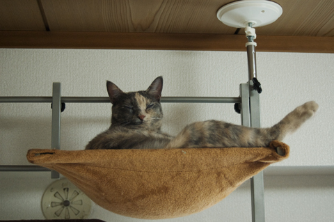f:id:shi-kano:20090618175956j:image f:id:shi-kano:20090618175956j:image
