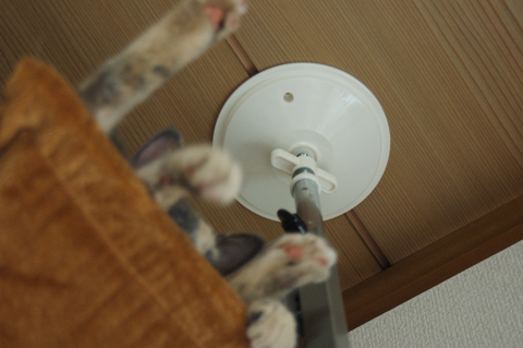 f:id:shi-kano:20090618185512j:image f:id:shi-kano:20090618185512j:image