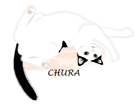 f:id:shi-kano:20140507112517j:image f:id:shi-kano:20140507112517j:image