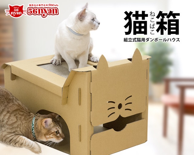 f:id:shi-kano:20150110124807j:plain f:id:shi-kano:20150110124807j:plain