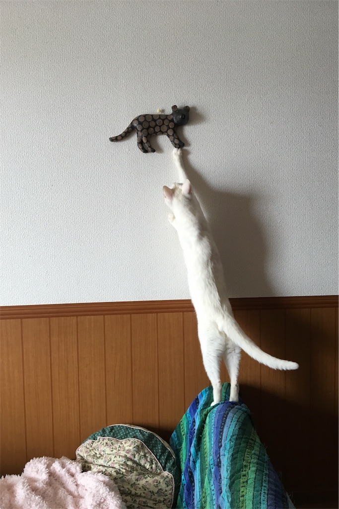 f:id:shi-kano:20160126145237j:image f:id:shi-kano:20160126145237j:image