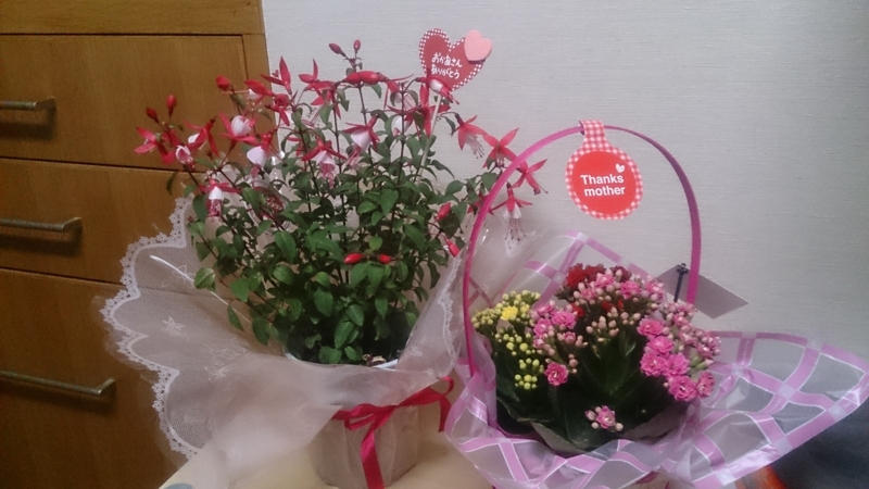 f:id:shibako3:20150511141644j:plain f:id:shibako3:20150511141644j:plain