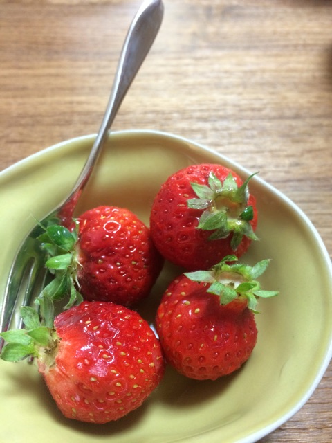 f:id:shibuy:20150117030810j:plain f:id:shibuy:20150117030810j:plain