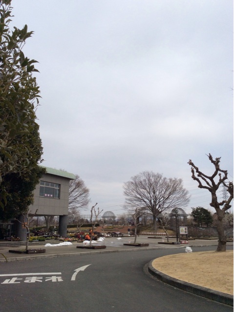 f:id:shigeo-t:20140218121145j:plain f:id:shigeo-t:20140218121145j:plain