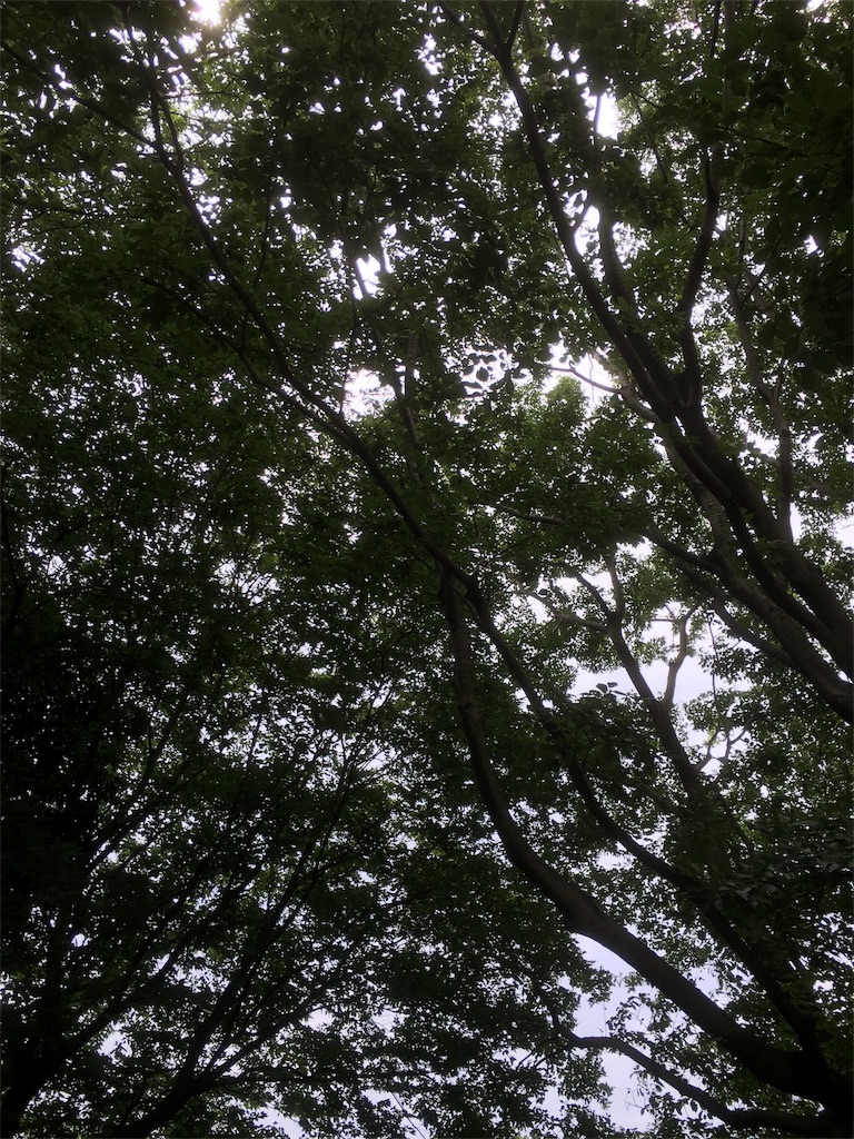 f:id:shigeruok:20160619183757j:plain f:id:shigeruok:20160619183757j:plain