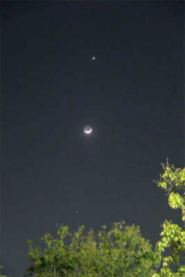 f:id:shiinaneko:20120326223108j:image f:id:shiinaneko:20120326223108j:image