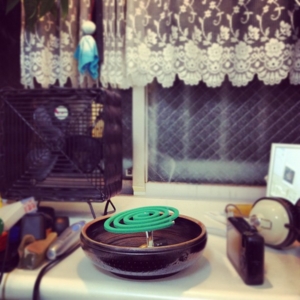 f:id:shiinaneko:20120708221418j:image