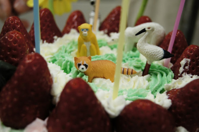 f:id:shiinaneko:20121224132934j:image f:id:shiinaneko:20121224132934j:image