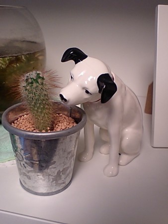 f:id:shikaku:20090501084925j:image