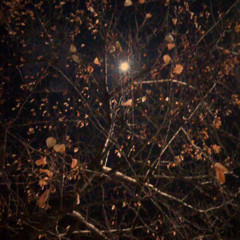 f:id:shikihan:20091204004441j:image f:id:shikihan:20091204004441j:image