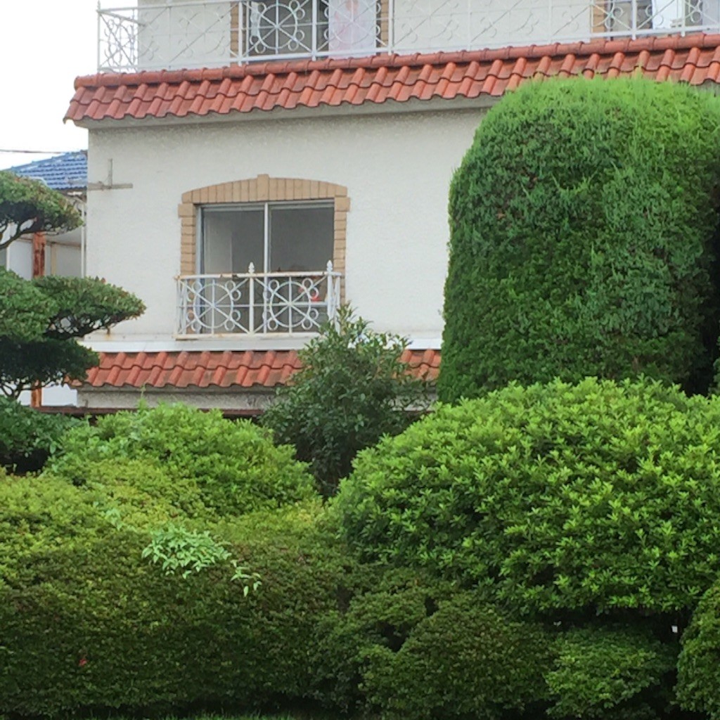 f:id:shikihan:20150718221954j:image f:id:shikihan:20150718221954j:image