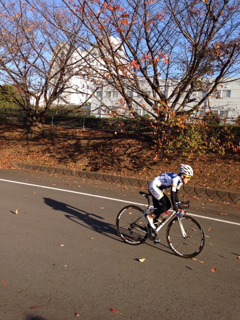 f:id:shimablog:20141125203646j:plain f:id:shimablog:20141125203646j:plain