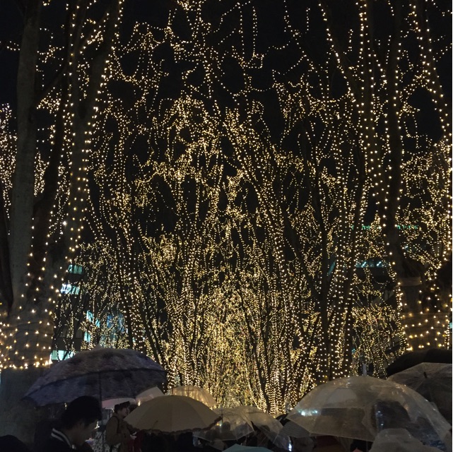 f:id:shimablog:20141222205327j:plain f:id:shimablog:20141222205327j:plain