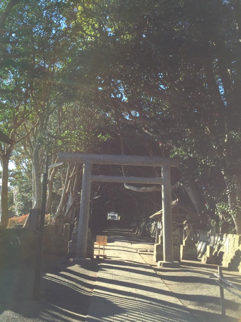 f:id:shimablog:20150202134748j:plain f:id:shimablog:20150202134748j:plain