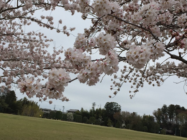 f:id:shimablog:20150405231938j:plain f:id:shimablog:20150405231938j:plain